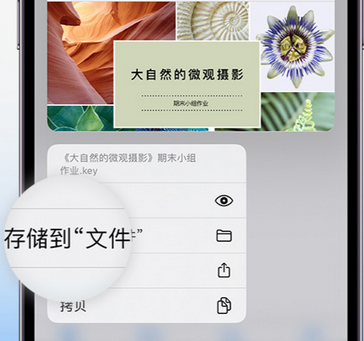 延寿apple维修中心分享iPhone文件应用中存储和找到下载文件