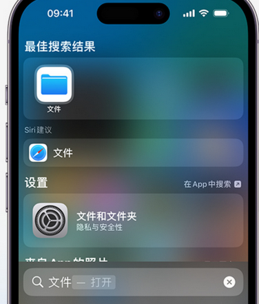 延寿apple维修中心分享iPhone文件应用中存储和找到下载文件 