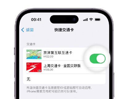 延寿apple维修点分享iPhone上更换Apple Pay快捷交通卡手绘卡面 