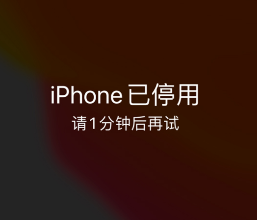 延寿苹果手机维修分享:iPhone 显示“不可用”或“已停用”怎么办？还能保留数据吗？ 