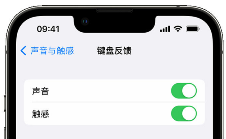 延寿苹果手机维修分享iPhone 14触感键盘使用方法 