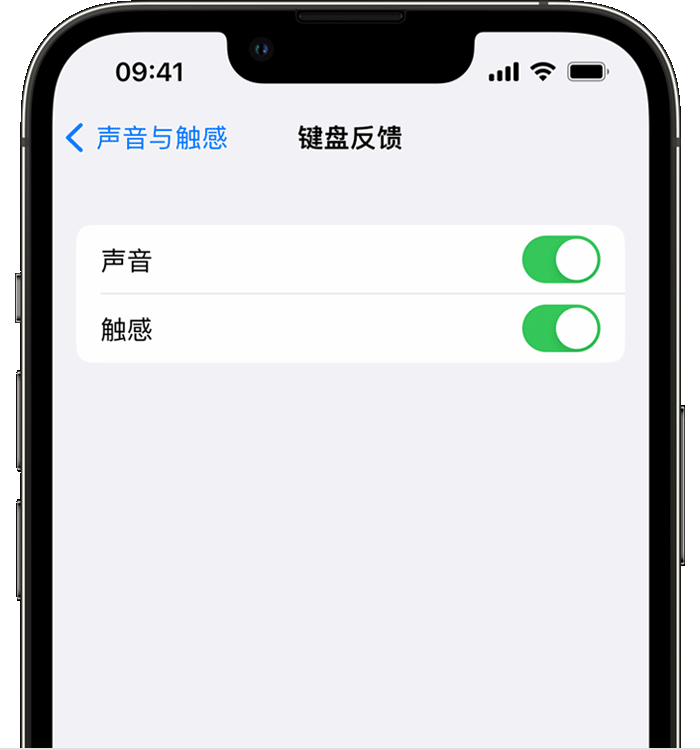 延寿苹果14维修店分享如何在 iPhone 14 机型中使用触感键盘 