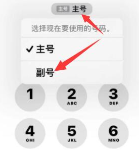 延寿苹果14维修店分享iPhone 14 Pro Max使用副卡打电话的方法 