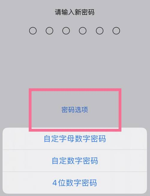 延寿苹果14维修分享iPhone 14plus设置密码的方法 