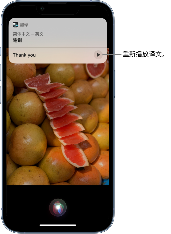 延寿苹果14维修分享 iPhone 14 机型中使用 Siri：了解 Siri 能帮你做什么 