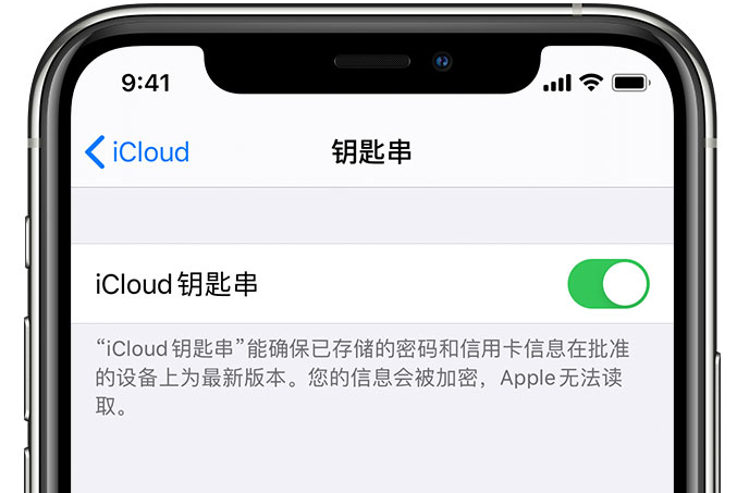 延寿苹果手机维修分享在 iPhone 上开启 iCloud 钥匙串之后会储存哪些信息 