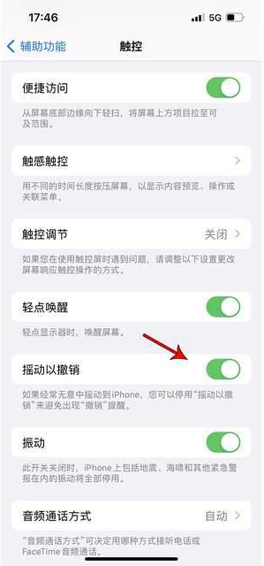 延寿苹果手机维修分享iPhone手机如何设置摇一摇删除文字 